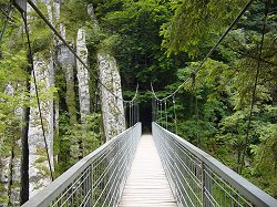The suspension bridge