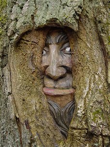 Carved out face partly overgrown with bark