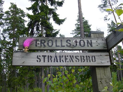 TB Pink Punky on his way to Troll Lake